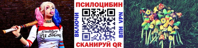 KRAKEN   Глазов  Галлюциногенные грибы прущие грибы 